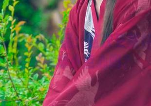 Kettoe的旗袍作品：这次更新特别适合搭配美味小点心吗？