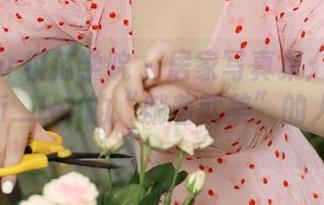 MFStar模范学院 - 居家写真集：体验Jennanni_Jen的“躺着就美”的人生哲学。
