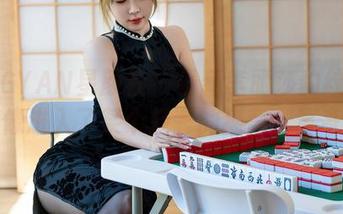 XINGYAN星颜社 - 最新李丽莎豹纹合集，好像进入了某个轻奢的猫窝，真奇特。